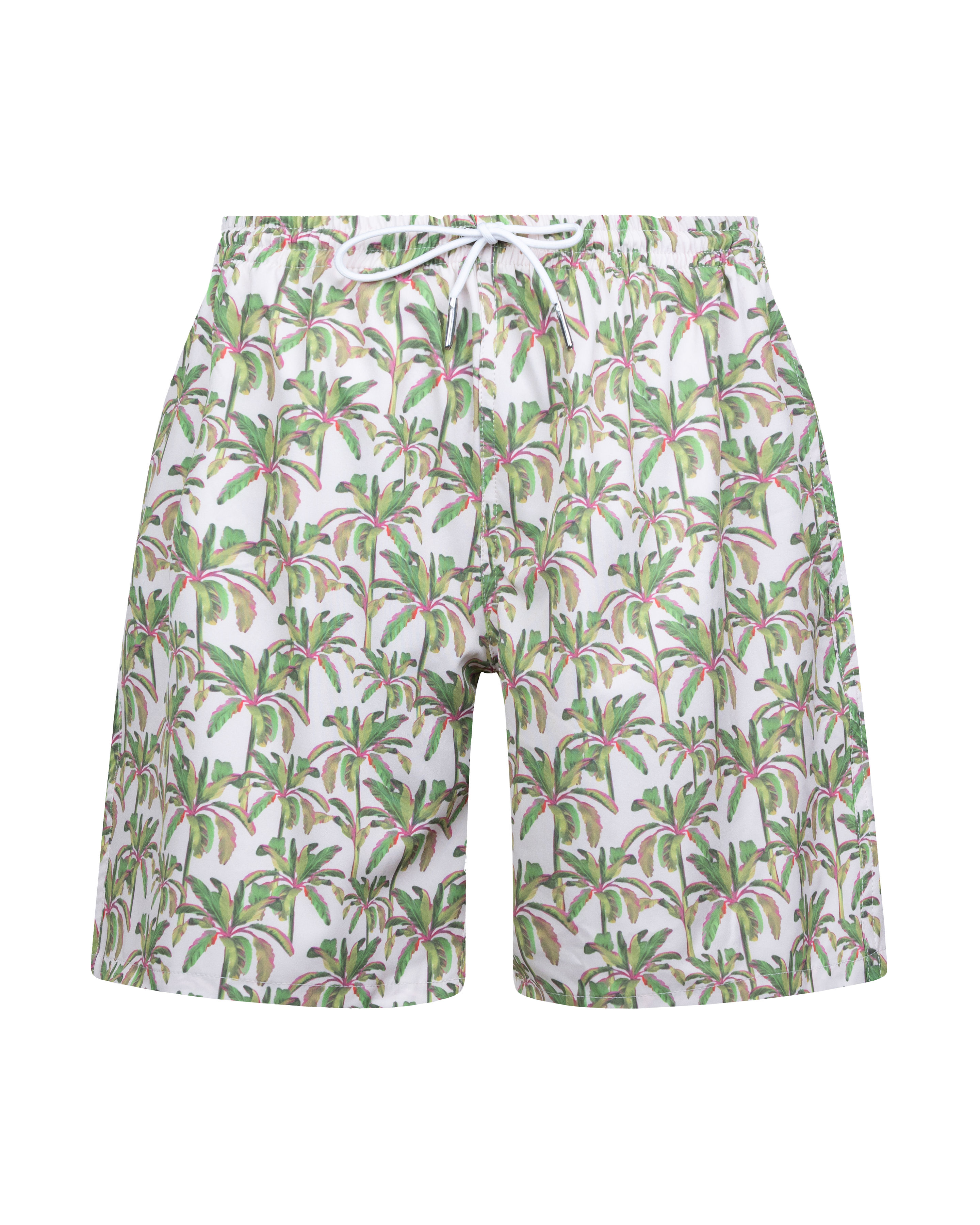 PALMS REGULAR